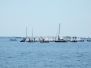 2007 - Trofeo Scuole Vela 2007