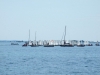 trofeo_delle_scuole_vela_(1)_ridimensionare