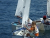 trofeo_delle_scuole_vela_(28)_ridimensionare