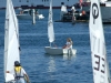 trofeo_delle_scuole_vela_(40)_ridimensionare