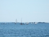 trofeo_delle_scuole_vela_(46)_ridimensionare