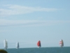 01.09.2008_106_ridimensionare