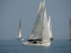 DSC00550_ridimensionare