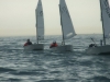 OPTIMIST_AGONISTICA_2008_081