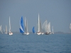 DSC00396_ridimensionare