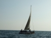 foto_19.11.06_010