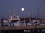 2009 - mare d\\\'inverno lignano con la neve