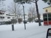 Immagine_229