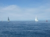 DSCF0829
