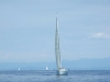 DSCF0831