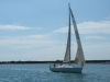 DSCF0929