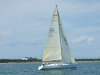 DSCF0941