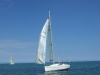 DSCF0957