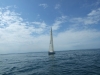 DSCF1049