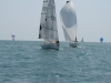 DSC07137