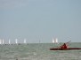 2010 - Optimist regata finecorso Perfezionamento