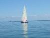 LASER_28.03.2010_121