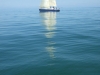 LASER_28.03.2010_125