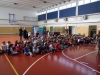 stelle_olimpiche_088