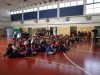 stelle_olimpiche_100