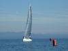 DSCF6871