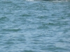 P1200828