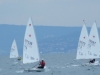 DSCF5936