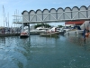 DSCF6340