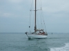 DSCF6341