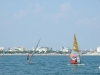 DSCF6783