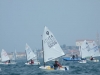DSCF4861