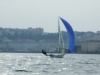 DSCF4660
