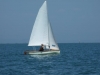 DSCF6471