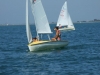 DSCF6506