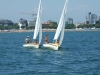 DSCF6516