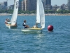 DSCF6528