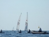 DSCF6808