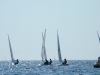 DSCF6811