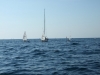 DSCF6827