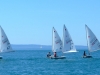 DSCF5784