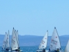 DSCF5808