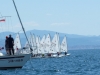 DSCF5812