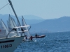 DSCF5817