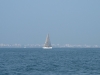 IMG_0194_2
