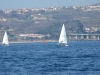 DSCF7383