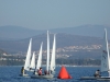 DSCF7394