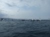 DSCF7410