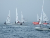 DSCF7427