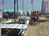 DSCF8231