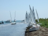 DSCF7984
